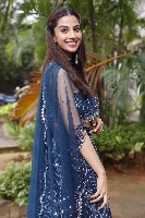 Meenakshi Chaudhary Gallery